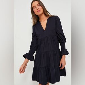navy blue toile tate dress Tuckernuck Tate Dress Review